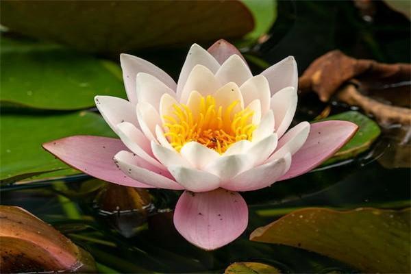 甘肅按60%交15年能領取多少養(yǎng)老金