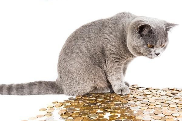欠招商銀行二萬逾期三個月會起訴嗎？逾期后果有哪些？