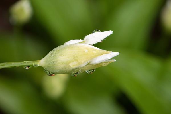 深圳社保費(fèi)過(guò)了25號(hào)還能繳納嗎？需要繳納多久時(shí)間？
