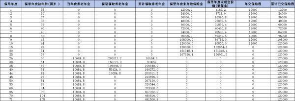 陽光壽C款養(yǎng)老年金險怎么樣？深度解析，為你揭示這款熱門產(chǎn)品的魅力