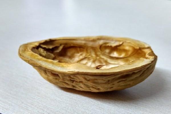 香港保險到期了可以推遲多久交？交費多久審核通過？