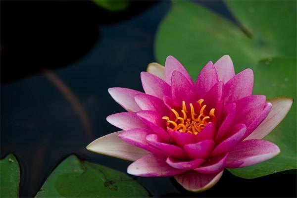 獨生子女證65歲退休后能領(lǐng)取多少錢？看完這篇文章你就知道了