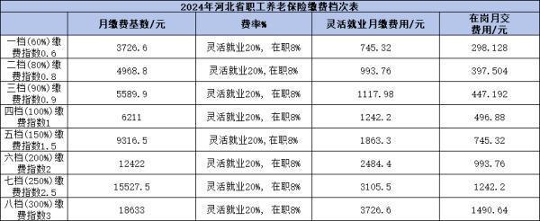 河北2024養(yǎng)老保險(xiǎn)繳費(fèi)檔次