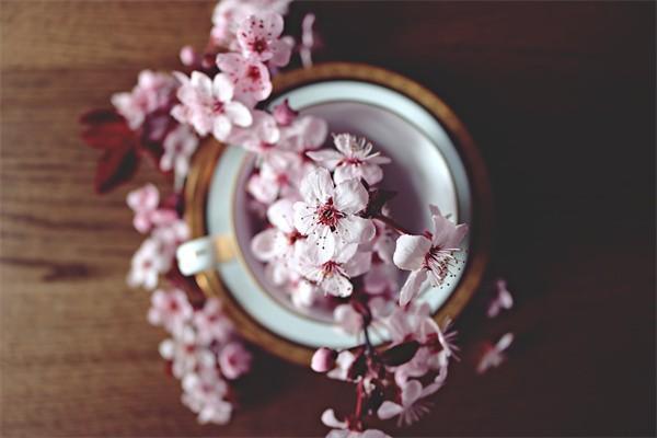 保險(xiǎn)的本質(zhì)是什么？購買技巧是什么？