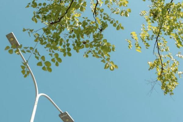 意外險是醫(yī)療保險報銷剩下的嗎？報銷流程是什么？