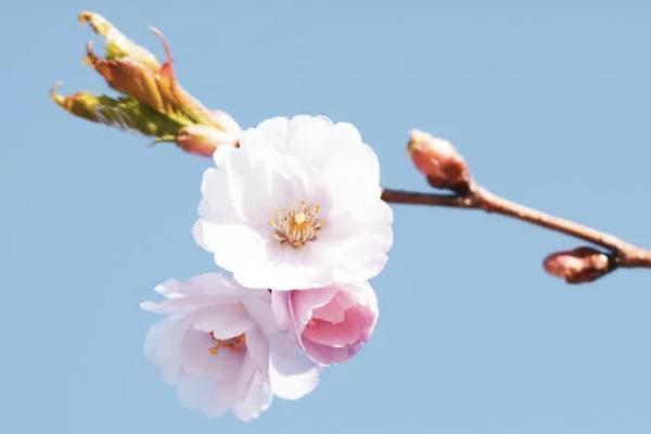 南京寧惠保保險(xiǎn)范圍是什么？哪些情況不能報(bào)銷？