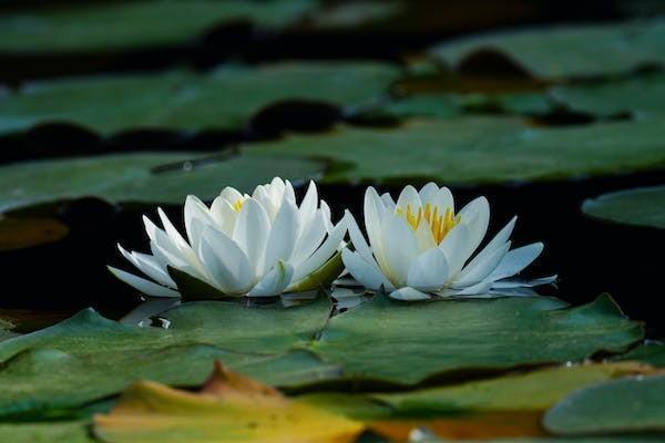 一分錢不交60歲能領(lǐng)養(yǎng)老金嗎？以長沙為例