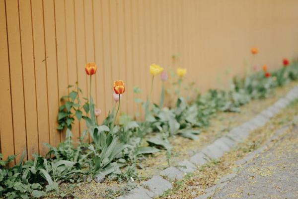 太平洋保險查詢詳細(xì)保單怎么查？一般多少錢？