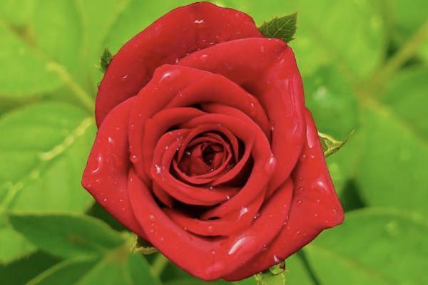 手機上可以綁定別人的醫(yī)?？▎幔酷t(yī)?？ㄔ趺词褂茫?/>
                                            </div>
                                        </a>
                                        <div   id=