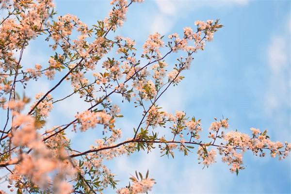 廣州交滿15社保退休每月能拿多少錢，附帶社保繳費(fèi)標(biāo)準(zhǔn)