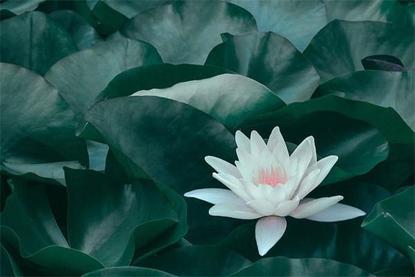 養(yǎng)老保險(xiǎn)交滿15年能領(lǐng)取多少錢？看完這文章你就知道了