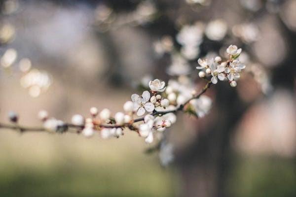 保險(xiǎn)被保人和受益人有什么區(qū)別？可以變更嗎？