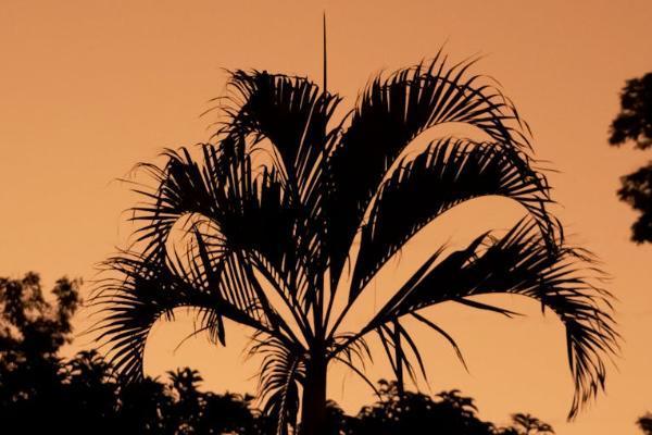 投保人被保險(xiǎn)人受益人之間的關(guān)系是什么？投保人可以更換嗎？