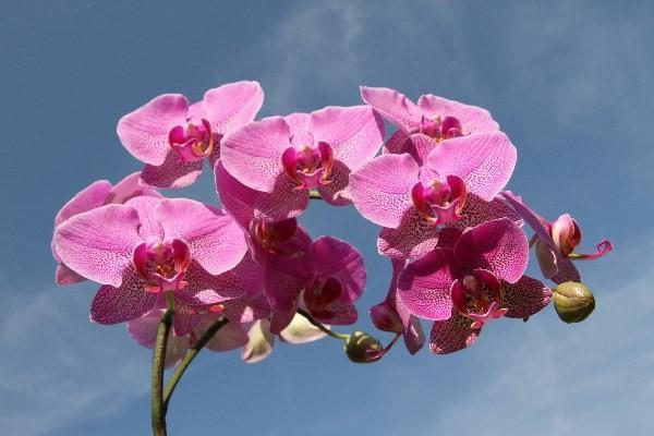 華泰保險公司正規(guī)嗎安全嗎？有哪些險種？