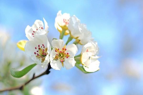 終身重疾險(xiǎn)退保的話能拿本金嗎？退保的流程是什么？