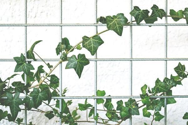 友邦保險(xiǎn)買了一般多久生效？投保怎么操作？