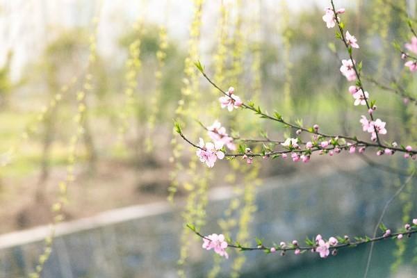 保險(xiǎn)到期退保需要什么手續(xù)？保險(xiǎn)到期退保注意事項(xiàng)？