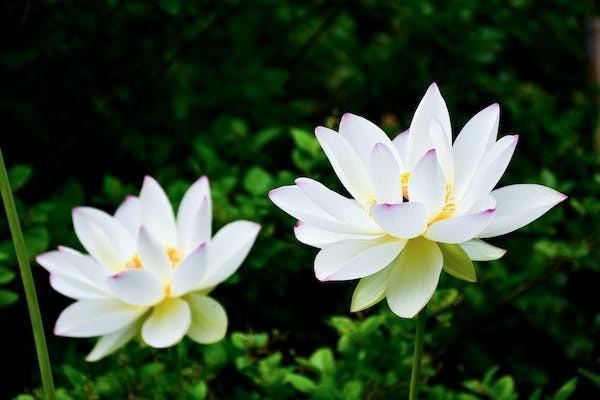 退休職工喪葬費(fèi)與撫恤金標(biāo)準(zhǔn)解析：不同地區(qū)計(jì)算方法與金額差異