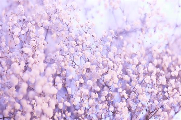 兩口子都交了生育險怎么報銷？報銷比例是多少？