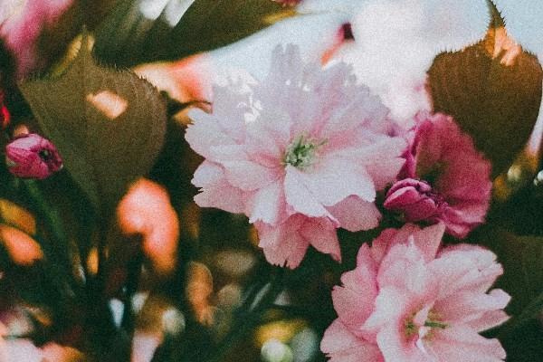 醫(yī)享無憂惠享版是哪個保險公司的？有哪些優(yōu)勢？