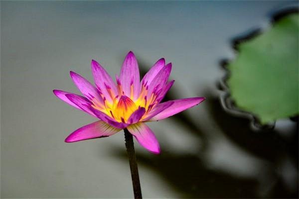 一年存一萬存五萬的保險可靠嗎