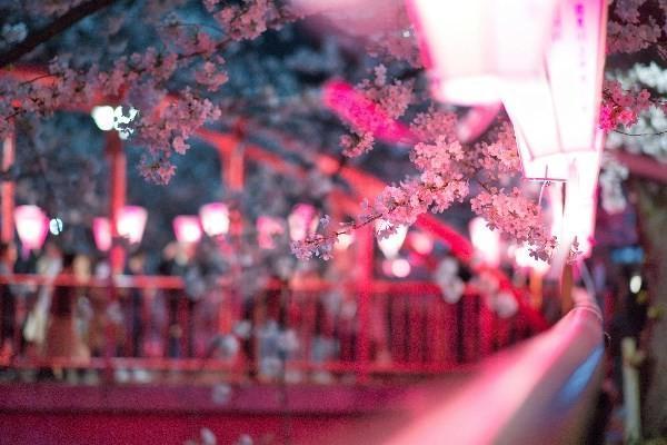 太平洋醫(yī)享無憂購買有哪些？保障內(nèi)容有哪些？