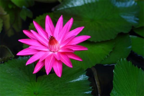 安全的短期理財(cái)方式有哪些？六種安全短期理財(cái)方式詳解