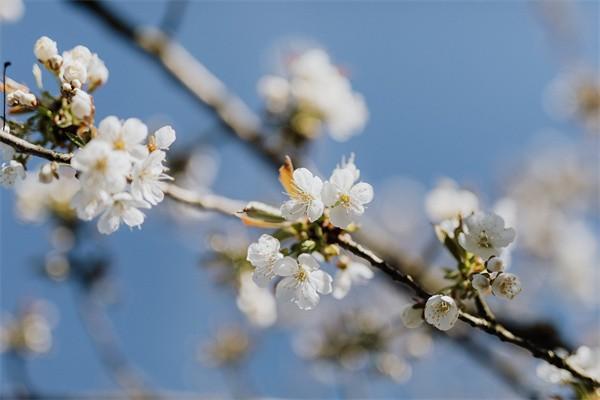恒邦保險(xiǎn)怎么樣可靠嗎