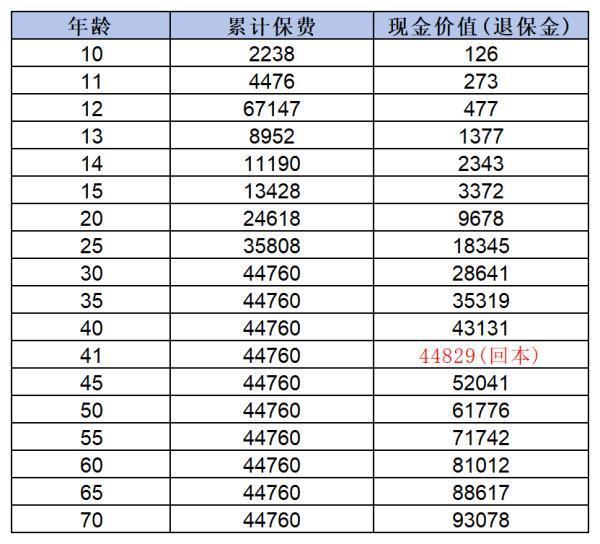 大黃蜂10號(hào)全能版保障什么？怎么買？