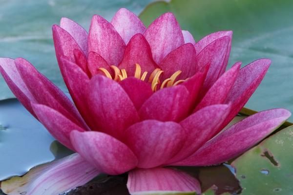 一年交5000農(nóng)村養(yǎng)老保險(xiǎn)能領(lǐng)多少錢？農(nóng)村養(yǎng)老金怎樣領(lǐng)得多？