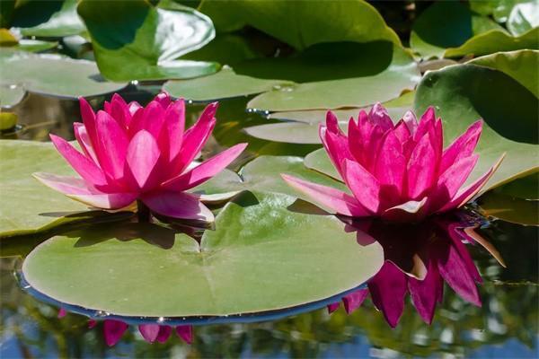 養(yǎng)老保險(xiǎn)交了幾年了怎么查詢？查詢不到為什么啊？