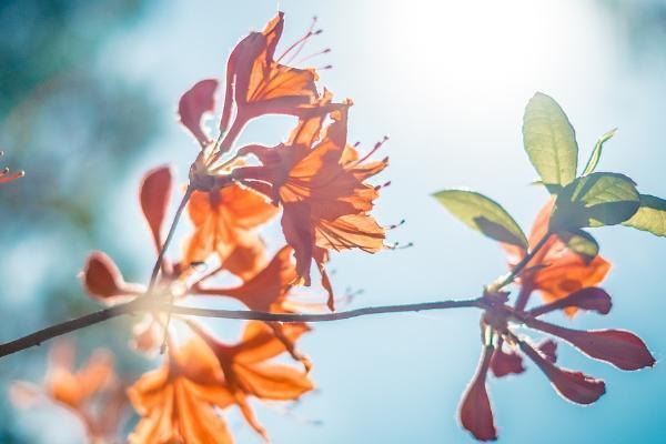 互助保險(xiǎn)有用嗎