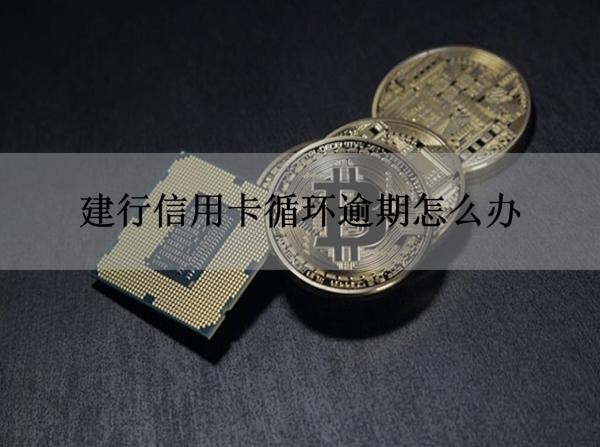 建行信用卡循環(huán)逾期