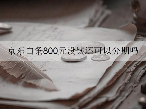 京東白條800元沒錢還