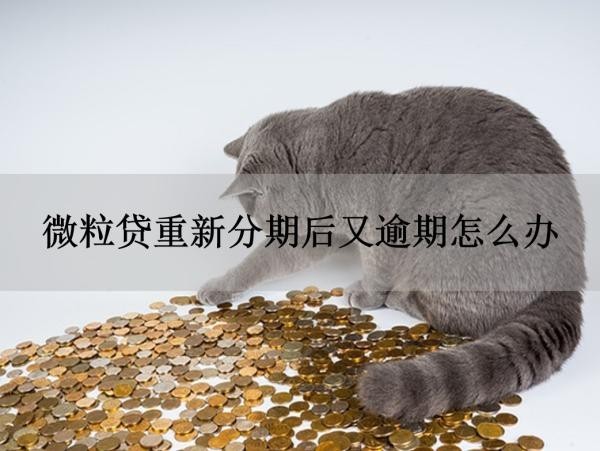 微粒貸重新分期后又逾期怎么辦？有人知道嗎