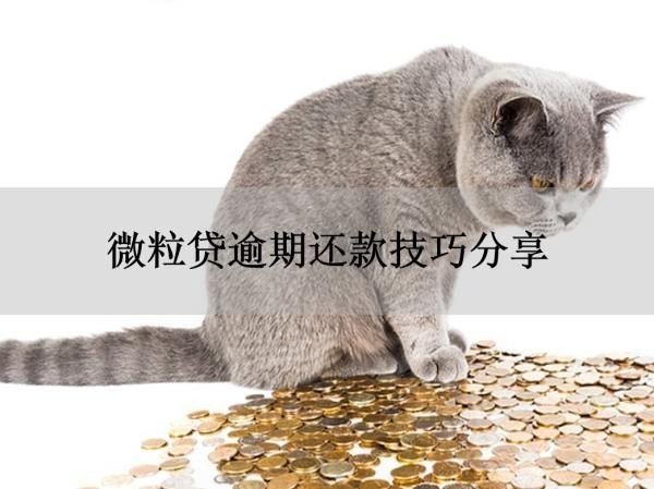 微粒貸逾期還款技巧分享！方法大全