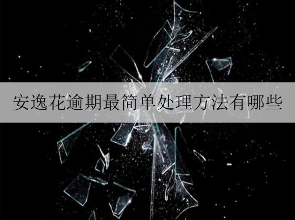 安逸花逾期最簡(jiǎn)單處理方法有哪些？逾期會(huì)怎樣嗎？