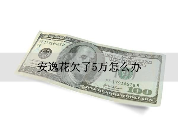 安逸花欠了5萬(wàn)怎么辦