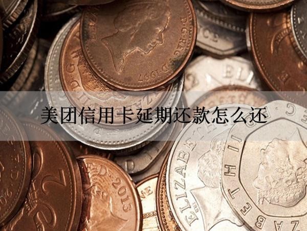美團(tuán)信用卡延期還款怎么還？詳細(xì)步驟