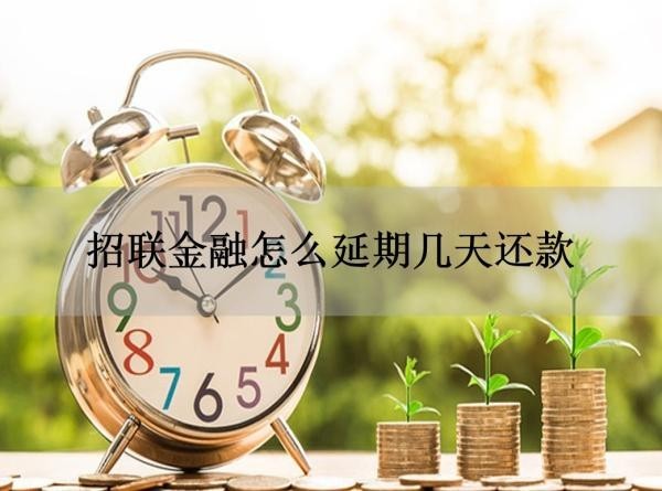 招聯(lián)金融怎么延期幾天還款？三種方式