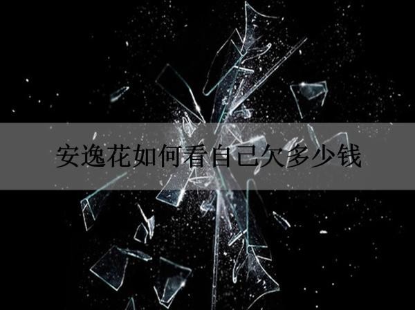 安逸花如何看自己欠多少錢？看完就清楚！