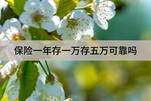 保險(xiǎn)一年存一萬(wàn)存五萬(wàn)可靠嗎？值得買嗎？