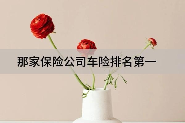 那家保險(xiǎn)公司車險(xiǎn)排名第一？從哪個(gè)渠道買便宜？