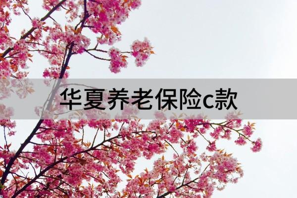 華夏養(yǎng)老保險(xiǎn)c款最建議買嗎？有什么優(yōu)缺點(diǎn)？