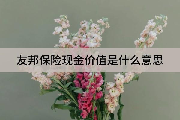 友邦保險(xiǎn)現(xiàn)金價(jià)值是什么意思？怎么看？