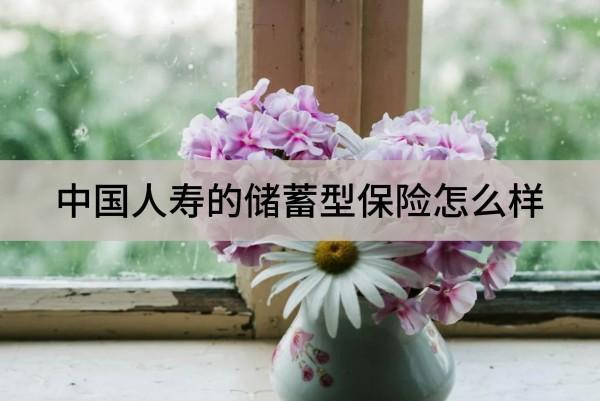 中國人壽的儲蓄型保險怎么樣？適合哪些人？