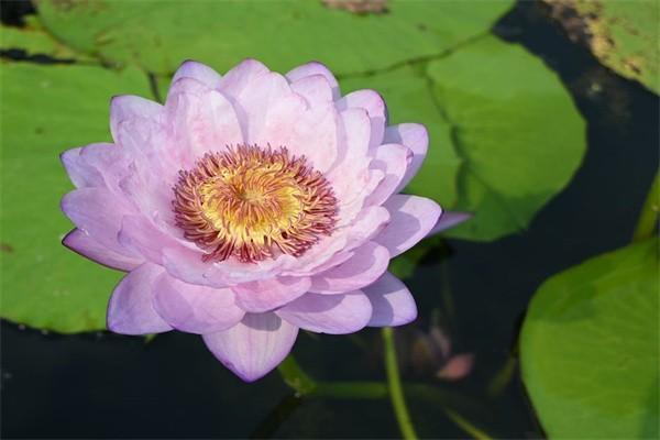 提交失業(yè)保險金需要什么附件