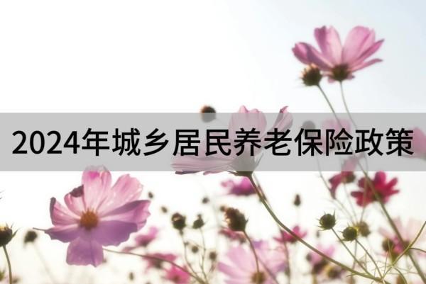 2024年城鄉(xiāng)居民養(yǎng)老保險政策簡介，要繳納多久時間？