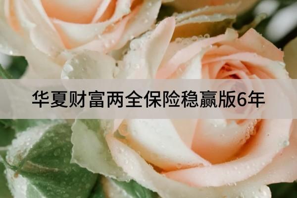 華夏財富兩全保險穩(wěn)贏版6年有哪些投保規(guī)定？提供有哪些保障？