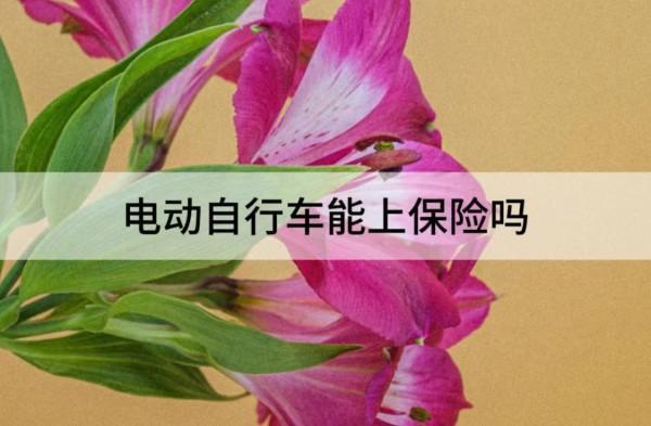 電動自行車能上保險嗎？多少錢？